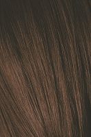 5-6 краска для волос Светлый коричневый шоколадный / SCHWARZKOPF (Швартскоф) Igora Royal 60 мл