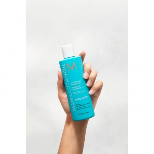 Шампунь увлажняющий / MOROCCANOIL (Мороканоил) Hydrating Shampoo 250 мл фото 2