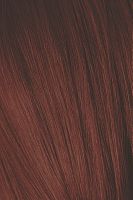 5-88 краска для волос Светлый коричневый красный экстра / SCHWARZKOPF (Швартскоф)Igora Royal Extra 60 мл